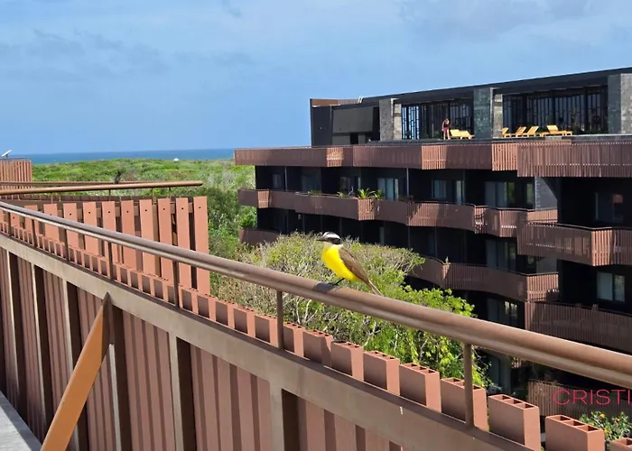 Escape - Jacuzzi - Free Bikes & Tulum